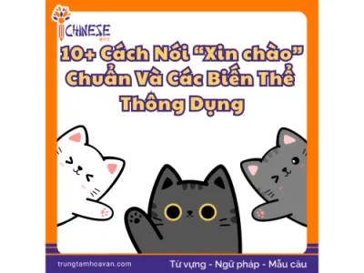 "Xin Chào" Trong Tiếng Trung: 10+ Cách Nói Chuẩn Và Các Biến Thể Thông Dụng