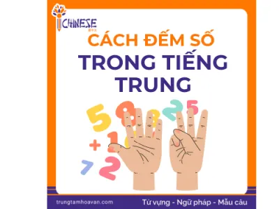 Số Đếm Tiếng Trung: Cách Đọc Đơn Giản Cho Người Mới Bắt Đầu