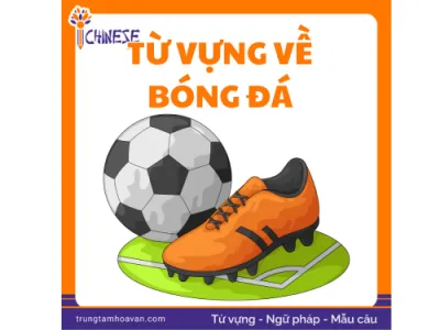 Từ vựng bóng đá tiếng Trung Thuật ngữ, Mẫu câu, Hội thoại