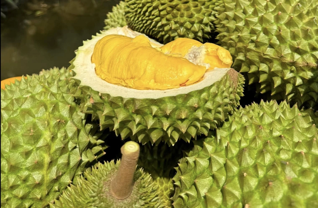 trái cây trong tiếng trung.webp