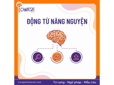 Động từ năng nguyện trong tiếng Trung: Hướng dẫn chi tiết từ A đến Z kèm ví dụ