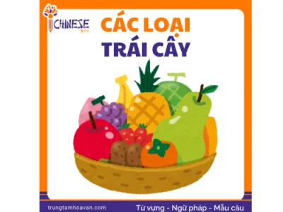 Từ vựng tiếng Trung chủ đề trái cây (hoa quả)